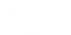 Gestão Esmalteria Capricho